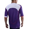 Nike Total 90 Dri-Fit Football Shirt - Purple (IM6300-547, Jerseys / Shirts, Nike) by www.protechkitzone.com Nike Total 90 Dri-Fit Football Shirt - Purple