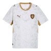 Czech Republic 2026 Away Shirt