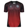Denmark x Alis 2026 Shirt Denmark x Alis 2026 Shirt