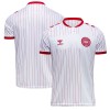 Denmark 2026 Away Shirt