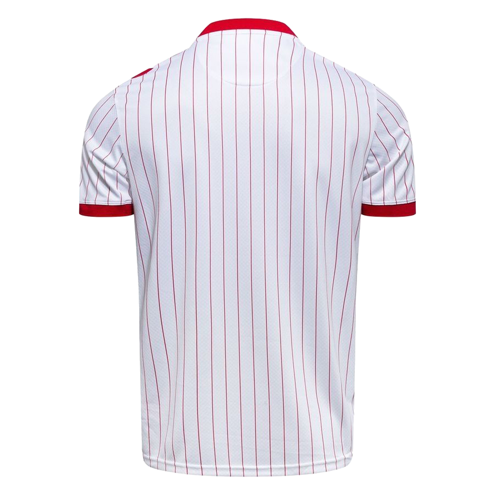 Denmark 2026 Away Shirt