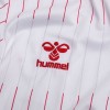 Denmark 2026 Away Shirt