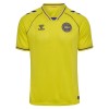 Denmark 2026 Goalkeeper Shirt - Blazing Yellow