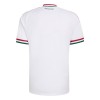 Hungary 2026 Away Shirt Hungary 2026 Away Shirt