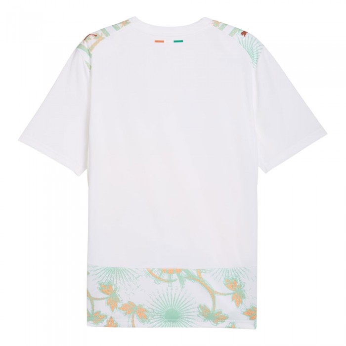 Ivory Coast 2026 Away Shirt