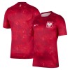Poland 2026 Away Shirt