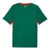 Senegal 2026 Away Shirt (783171-02, FIFA World Cup 2026™, Puma) by www.protechkitzone.com Senegal 2026 Away Shirt