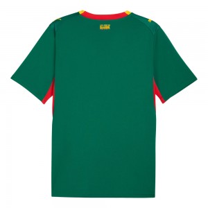 Senegal 2026 Away Shirt