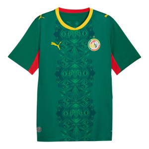 Senegal 2026 Away Shirt