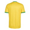 South Africa 2026 Home Shirt South Africa 2026 Home Shirt