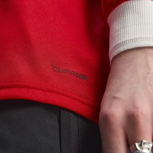 [Long Sleeve] Wales 150 Anniversary Shirt