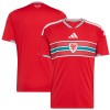 Wales 26 Home Shirt (JL6925, Wales, Adidas) by www.protechkitzone.com Wales 26 Home Shirt