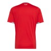 Wales 26 Home Shirt (JL6925, Wales, Adidas) by www.protechkitzone.com Wales 26 Home Shirt