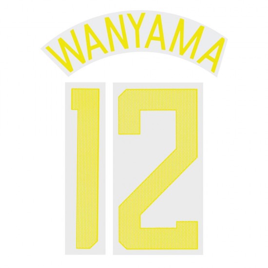 Wanyama 12 (Official Tottenham Hotspur FC 2017/18 Third Cup Name and Numbering)