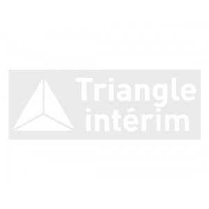 Triangle Interim Official Sleeve Sponsor Printing for AS Monaco 2017/18 Home (19/20) / Away Shirt Triangle Interim Official Sleeve Sponsor Printing for AS Monaco 2017/18 Home (19/20) / Away Shirt
