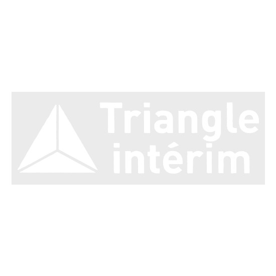 Triangle Interim Official Sleeve Sponsor Printing for AS Monaco 2017/18 Home (19/20) / Away Shirt