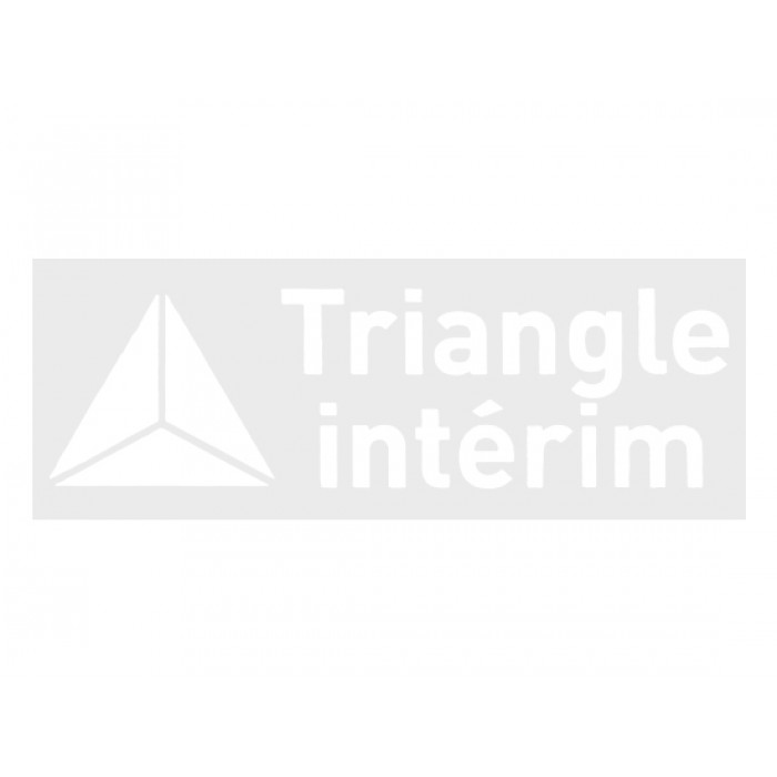 Triangle Interim Official Sleeve Sponsor Printing for AS Monaco 2017/18 Home (19/20) / Away Shirt, FRENCH LIGUE 1, TRIANGLE1718, 