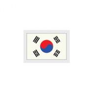 South Korea Sleeve Flag (South Korea 2018/20 Home / Away Sleeve Flag)