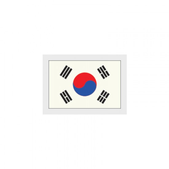 South Korea Sleeve Flag (South Korea 2018/20 Home / Away Sleeve Flag)