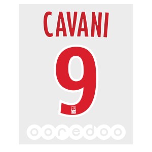 Official PSG 18/19 Home Ligue 1 Name and Numbering