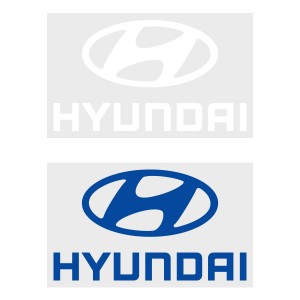 Hyundai Sleeve Sponsor (Official Chelsea FC 2018/19 Sleeve Sponsor)