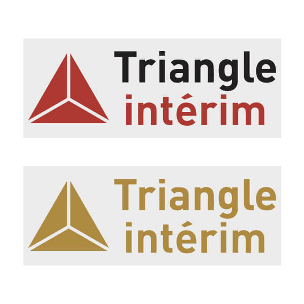 Triangle Interim Official Sleeve Sponsor Printing for AS Monaco 2018/19 Home / Away Shirt