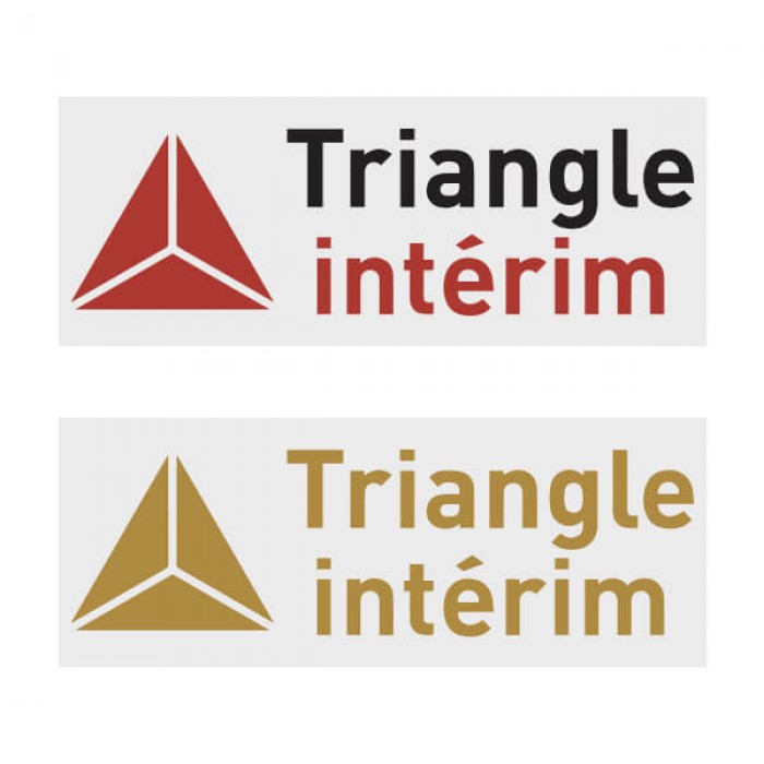 Triangle Interim Official Sleeve Sponsor Printing for AS Monaco 2018/19 Home / Away Shirt, FRENCH LIGUE 1, TRIANGLE1819, 