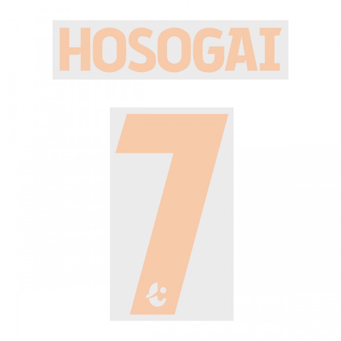 Hosogai 7 (Official Buriram United 2019 Home Name and Numbering), Buriram United, HOSOGAI7BUTD19H, 