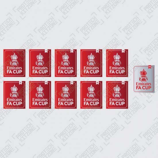The Emirates FA Cup Badges