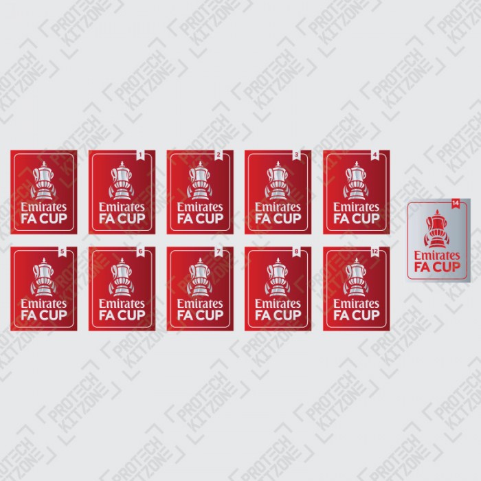 2020/21 The Emirates FA Cup Badges, Official English Leagues Badges, FA 2021 BADGE, 