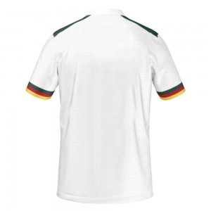 [Player Edition] Cameroon 2022 Third Pro Shirt, Cameroon, FECA223RPRO, One All Sports