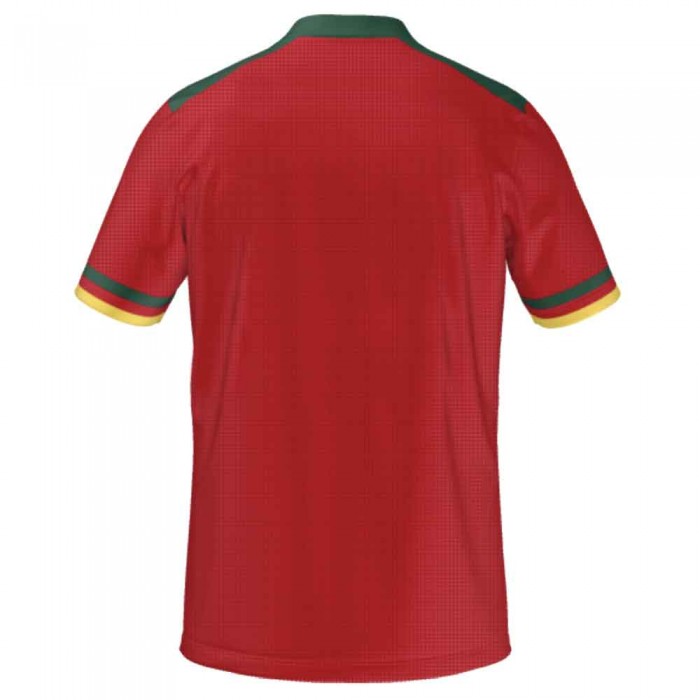 [Player Edition] Cameroon 2022 Away Pro Shirt, Cameroon, FECA22APRO, One All Sports