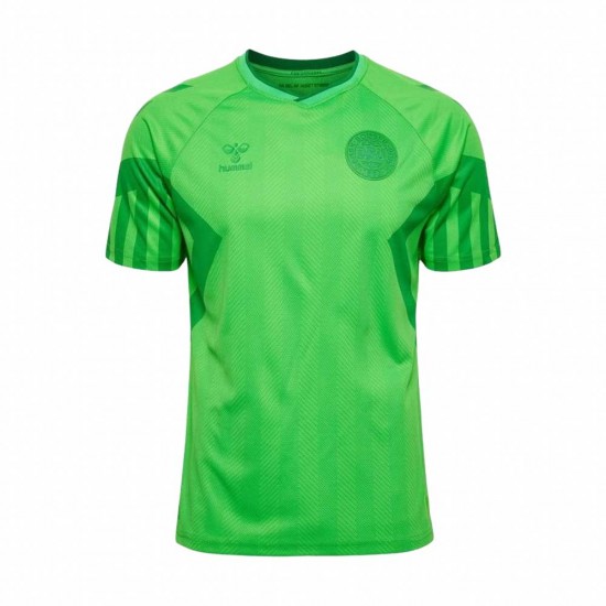 Denmark 2022 Goalkeeper Shirt - Green