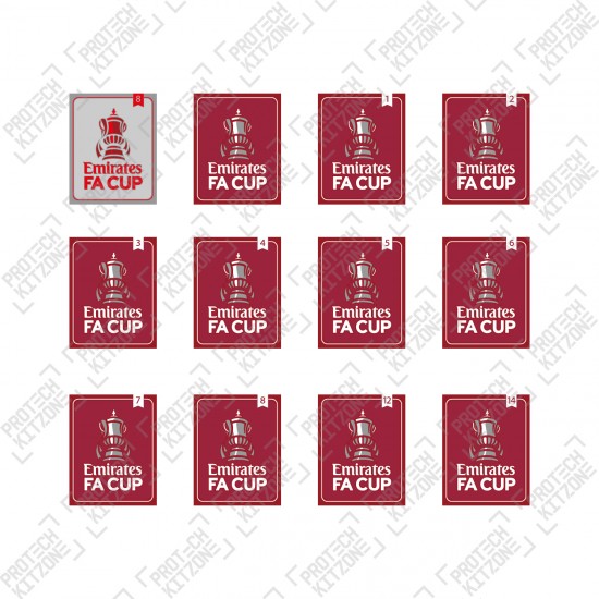 2022/23 Official The Emirates FA Cup Badges 