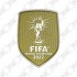Official FIFA World Cup 2022 Champions Badge