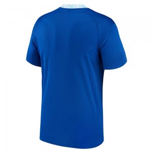 Chelsea 2022/23 Home Shirt, 2022/23 Season Jersey, DM1839-496, Nike