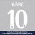 Kane 10 (Official Tottenham Hotspur FC Away Cup Name and Numbering)