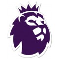 Premier League Sleeve Badge - Player Size