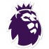 Premier League Sleeve Badge - Player Size