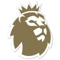 Premier League Champions Sleeve Badge - Player Size