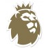 Premier League Champions Sleeve Badge - Player Size