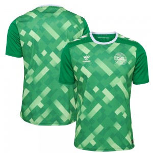 Denmark 2024 Goalkeeper Shirt - Green