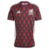 Mexico 2024 Home Shirt