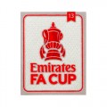 FA Cup Champions 13