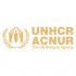 UNHCR ACNUR Logo - Gold