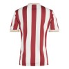 1. FC Nürnberg Anniversary Shirt (JG6350, Jerseys / Shirts, Adidas) by www.protechkitzone.com 1. FC Nürnberg Anniversary Shirt