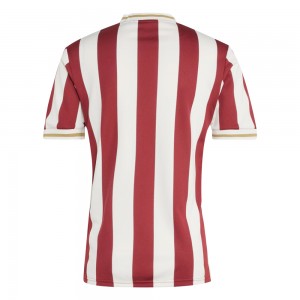 1. FC Nürnberg Anniversary Shirt