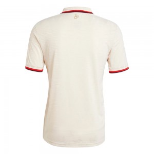 [Player Edition] FC Bayern Munich 2024/25 Heat.RDY Third Shirt