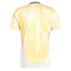 Juventus 2024/25 Away Shirt