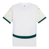 Ivory Coast 2025 Away Shirt